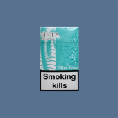 Urta Demi Slims Mint (Юрта Деми Слимс Ментол)